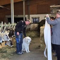 Stallsegen in Schmirn