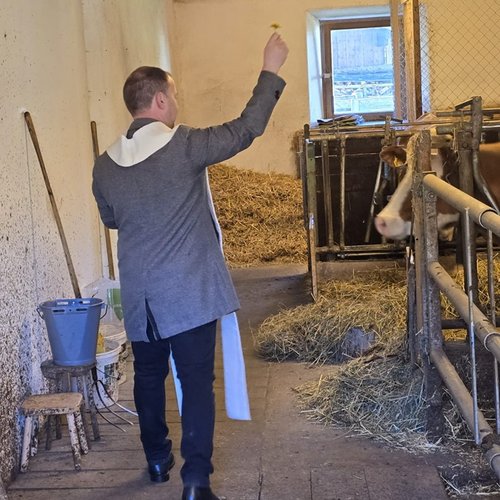 Stallsegnung 3 Klein