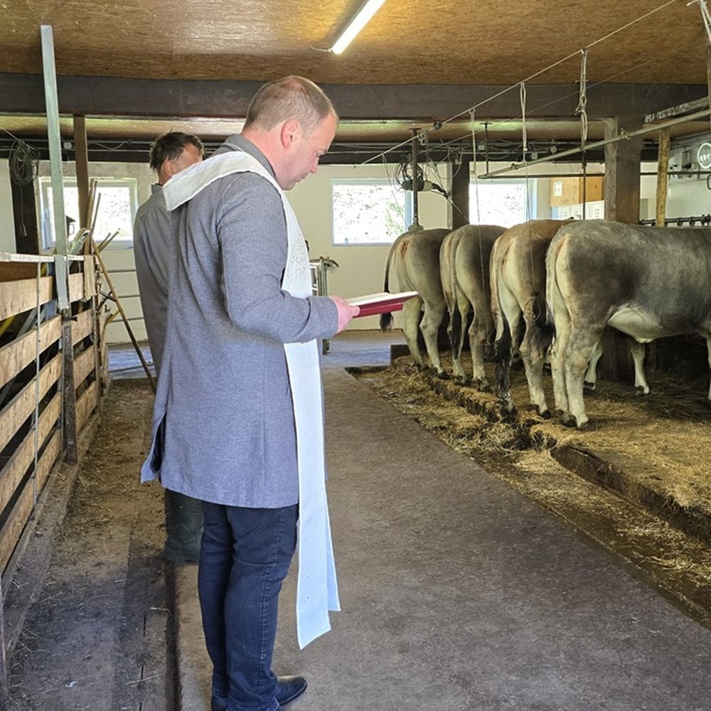 Stallsegnung 8 Klein